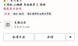 吃瓜网红群,揭秘网络红人的幕后生活