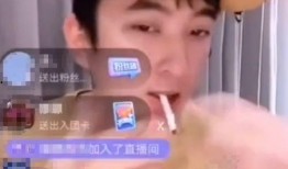 网红爆料王思聪3分钟视频,揭秘网红背后的奢华生活