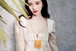 娱乐爆料社鞠婧祎,揭秘明星背后的故事与成长历程”